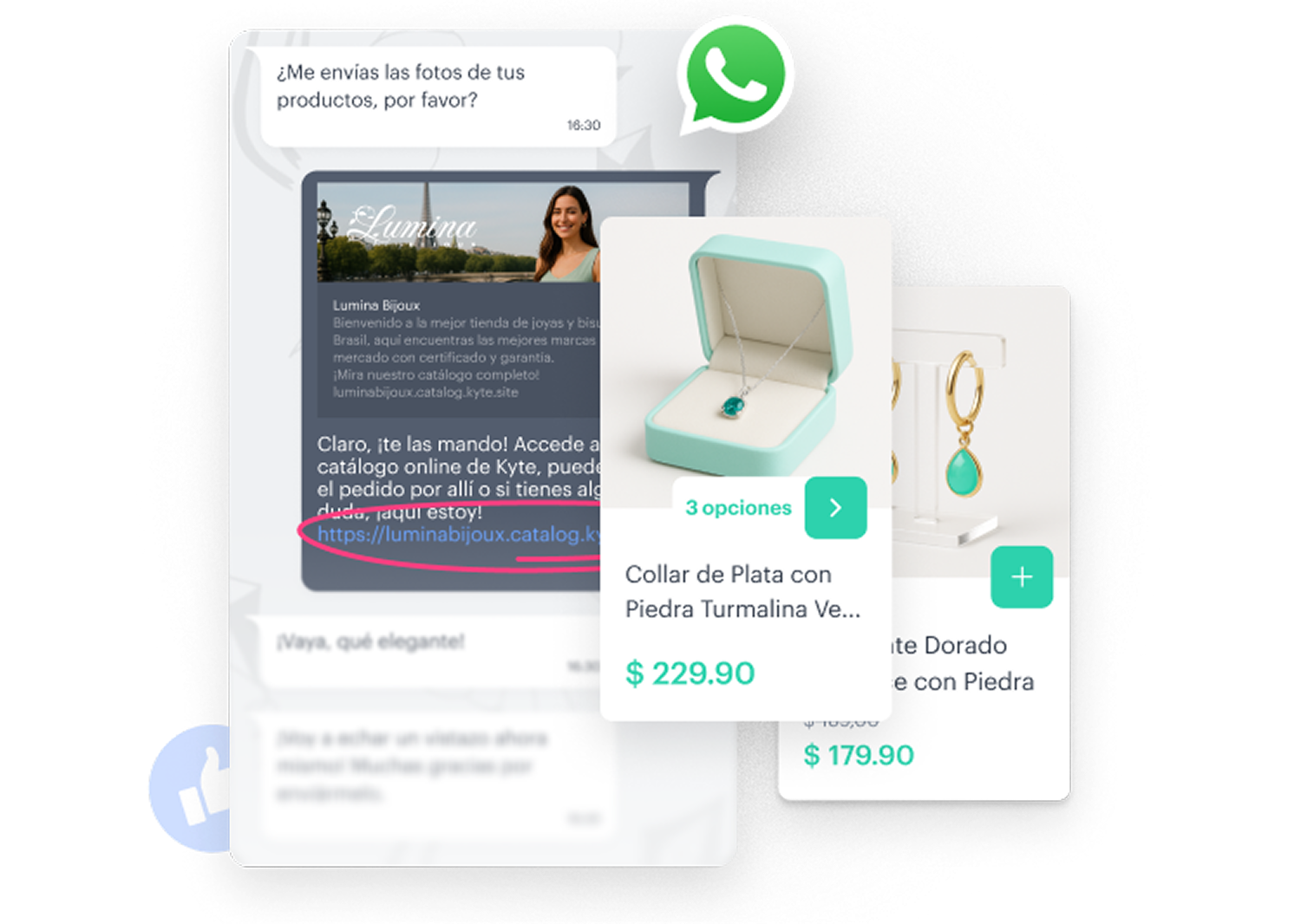 Picture of the author