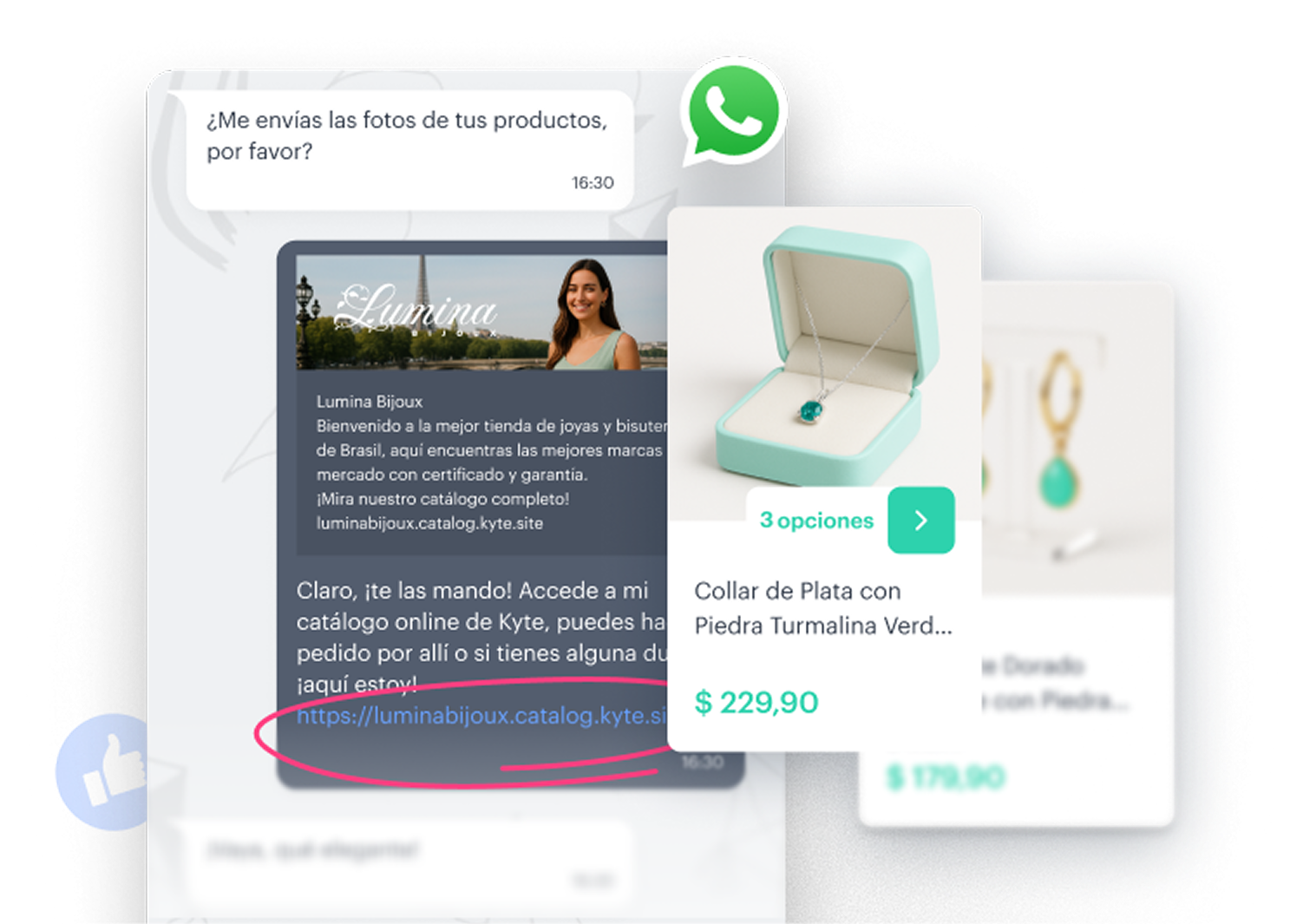 Picture of the author