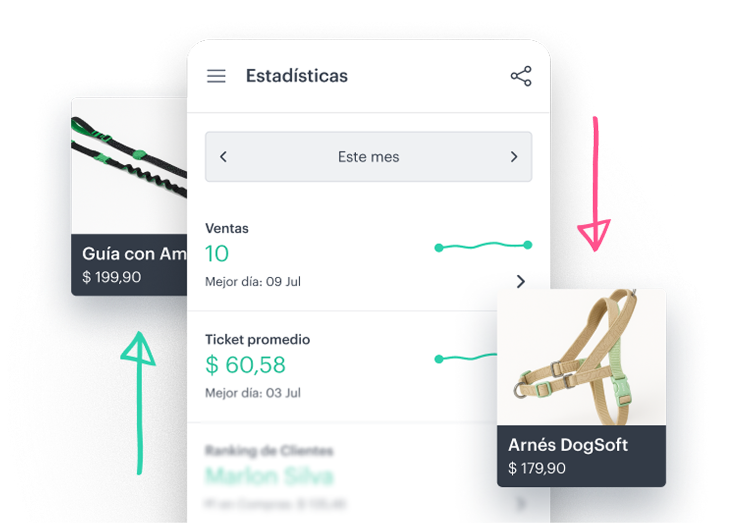 Picture of the author